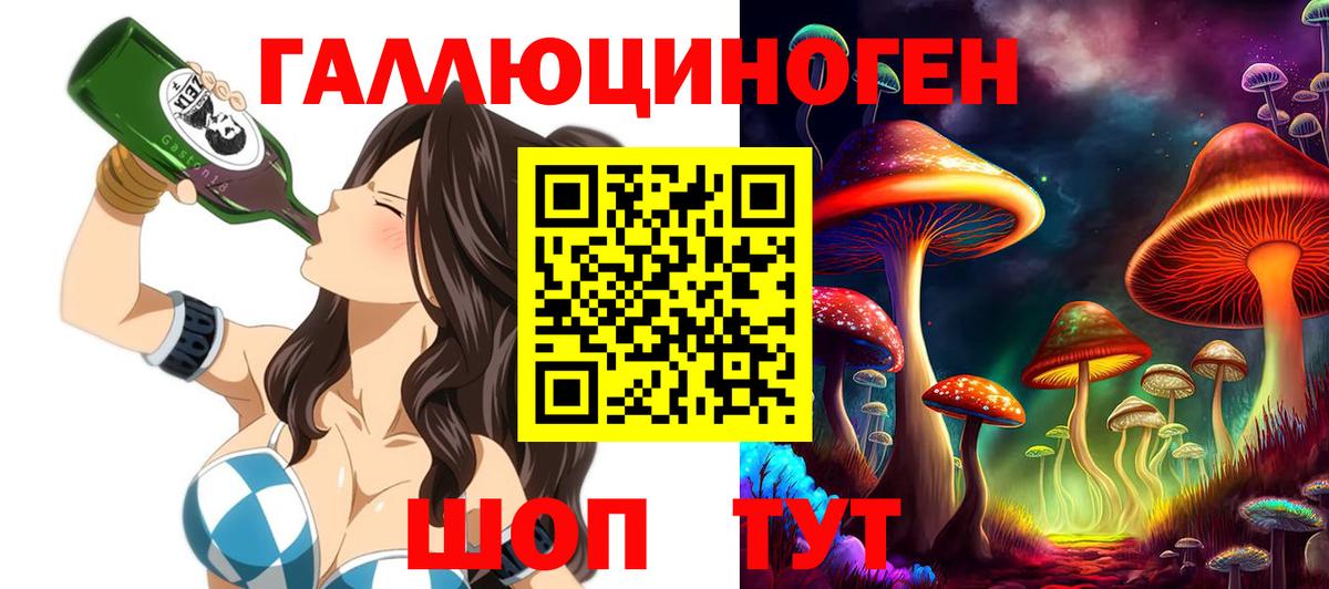 Галлюциногенные грибы Psilocybe Минусинск